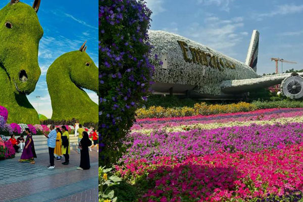 Miracle Garden