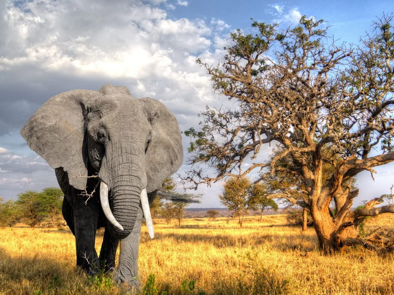 4 Days Tanzania Secrets